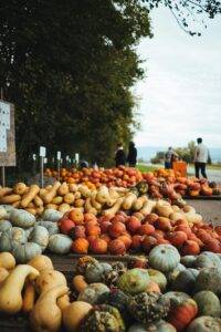 A rustic kitchen scene with fresh pumpkins, squash, apples, and leafy greens laid out on a counter. The image evokes crisp fall produce and intentional seasonal shopping.